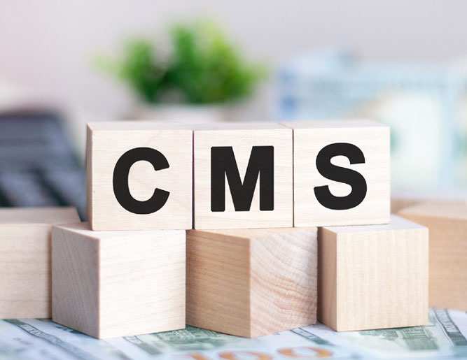 CMS Development