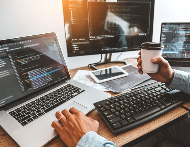 Custom Web Development